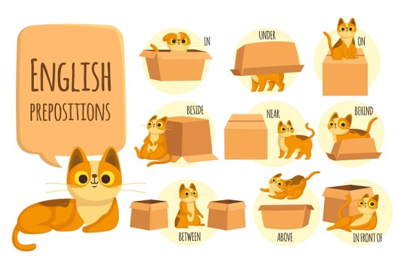 quiz preposition