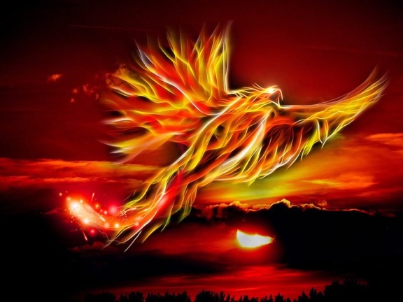 burung phoenix