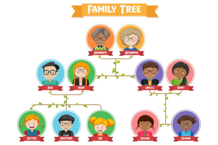 family tree