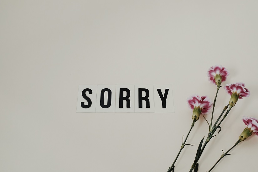 quiz-apology-language
