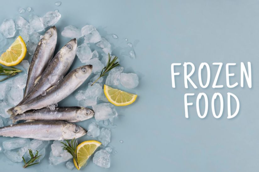 modal-usaha-frozen-food