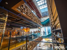 Book Park Blue Square